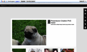 Pugsvt.blogspot.com thumbnail