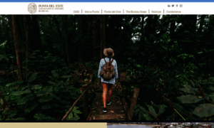 Puntadelestebureau.com thumbnail