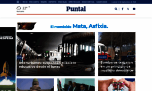 Puntal.com.ar thumbnail