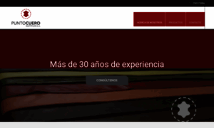 Puntocuero.com.uy thumbnail