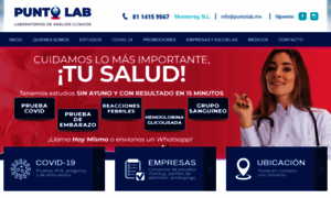Puntolab.mx thumbnail