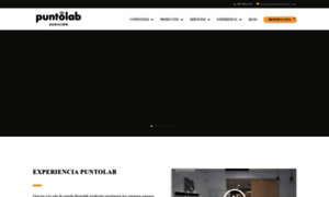 Puntolabaudicion.com thumbnail
