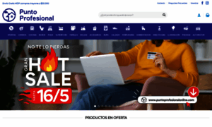 Puntoprofesionalonline.com thumbnail