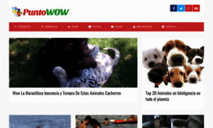 Puntowow.com thumbnail