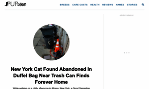 Pupvine.com thumbnail