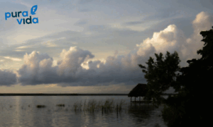 Puravida.nl thumbnail