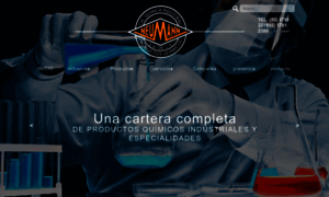 Quimicaneumann.com thumbnail