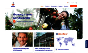 Rabobank.cl thumbnail