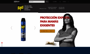 Raid.com.co thumbnail