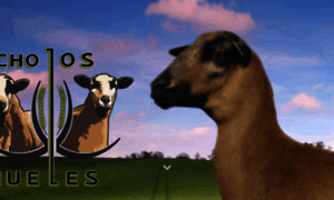 Rancholosmanueles.com.mx thumbnail