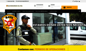 Ravseguridad.com thumbnail