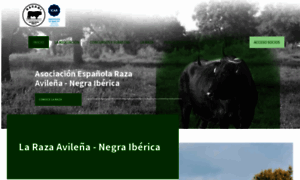 Razaavilena.com thumbnail