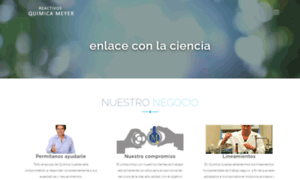 Reactivosmeyer.com.mx thumbnail