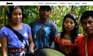 Realizadorestzikin.org thumbnail