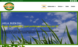 Reciclajesoroverde.cl thumbnail