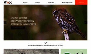 Redobservadores.cl thumbnail