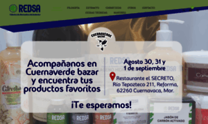 Redsa.com.mx thumbnail