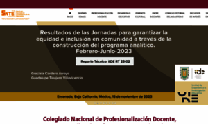 Redsnte.intranetsnte.org.mx thumbnail