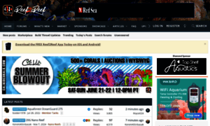 Reef2reef.com thumbnail