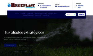 Regeplast.com thumbnail