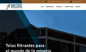 Reicotex.cl thumbnail
