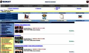 Rematedeaduanas.com thumbnail