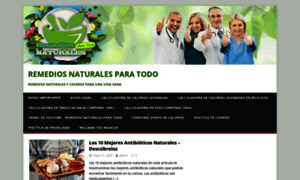 Remediosnaturalespara.org thumbnail