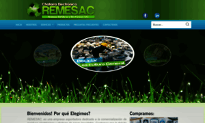 Remesac.com.pe thumbnail