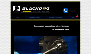 Reparacion-cremallera-direccion.com thumbnail