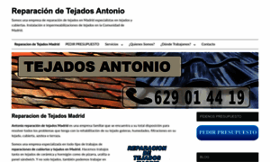 Reparaciondetejadosmadrid.es thumbnail