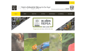 Repsa.unam.mx thumbnail