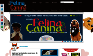 Revistafelinaycanina.com thumbnail