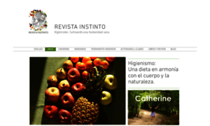 Revistainstinto.cl thumbnail