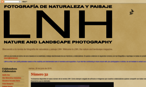 Revistalnh.blogspot.com thumbnail