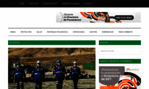 Revistaseguridadminera.com thumbnail