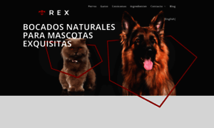 Rexpetcare.com thumbnail