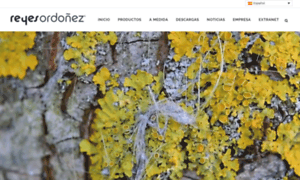 Reyesordonez.com thumbnail