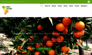 Riacnet.net thumbnail