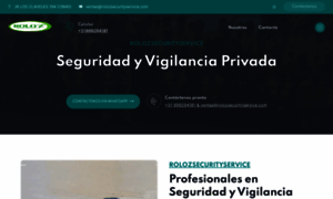 Rolozsecurityservice.com thumbnail