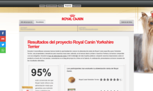 Royal-canin-yorkshire-terrier.trnd.es thumbnail