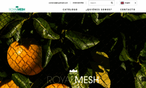 Royalmesh.com thumbnail