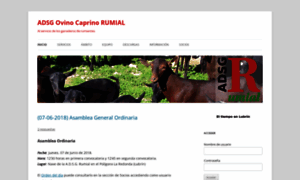 Rumial.com thumbnail