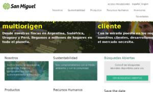Sa-sanmiguel.com thumbnail