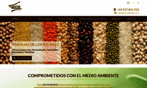 Sacoshidalgo.com thumbnail
