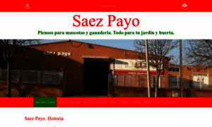 Saez-payo.com thumbnail