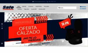 Safeseguridad.cl thumbnail