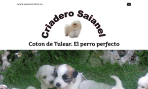 Saianelcoton.com thumbnail
