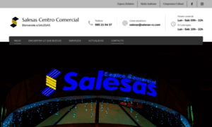 Salesas-cc.com thumbnail