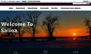 Salina.ny.us thumbnail