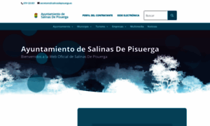 Salinasdepisuerga.es thumbnail